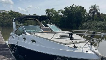 Focker 305 GT – 2016