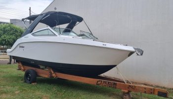 Focker GTO 242 – 2019